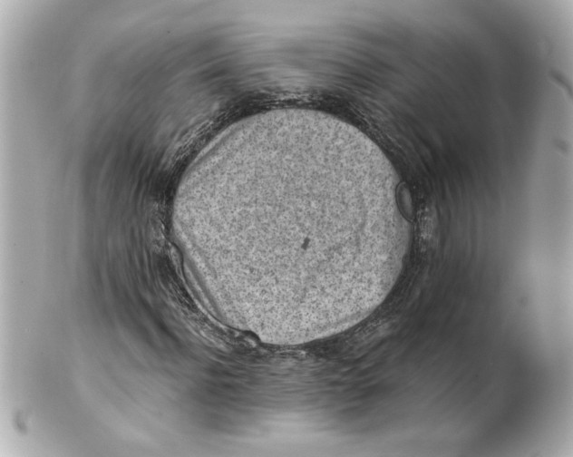 X0000101650916200807311410