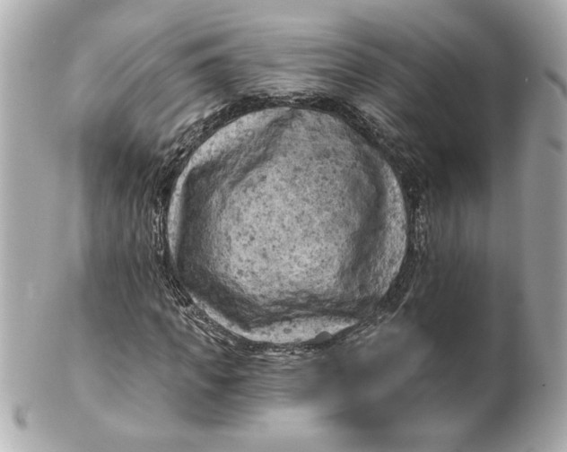 X0000101650917200807311410