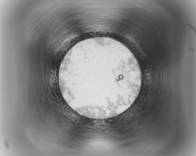 X0000101650918200807311410
