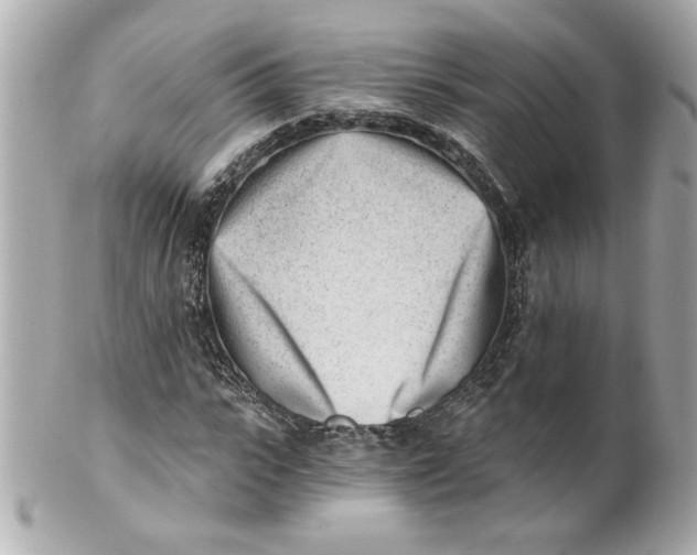 X0000101650919200807311410