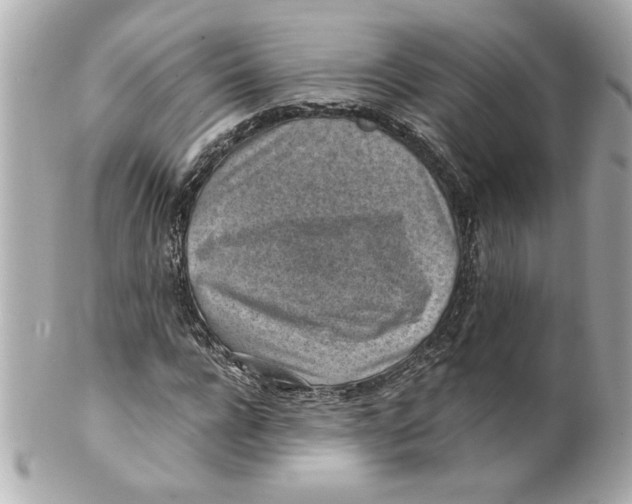 X0000101650920200807311410