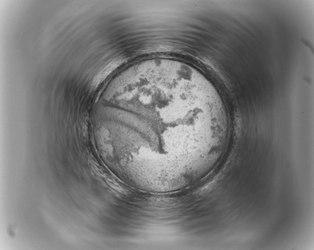X0000101650921200807311410