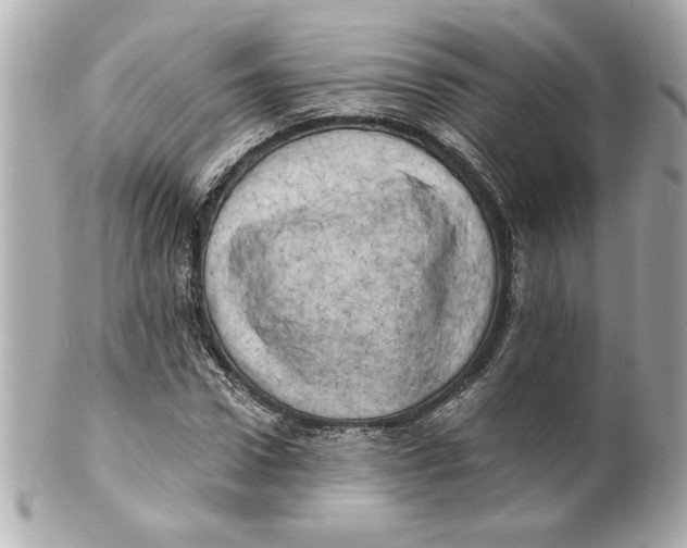 X0000101650922200807311410