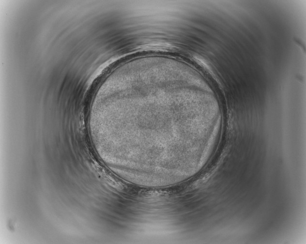 X0000101650923200807311410