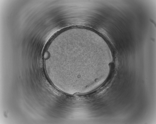 X0000101650924200807311410