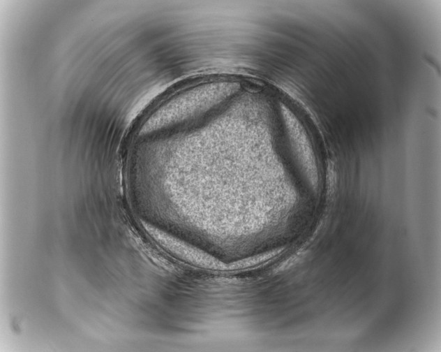 X0000101650925200807311410