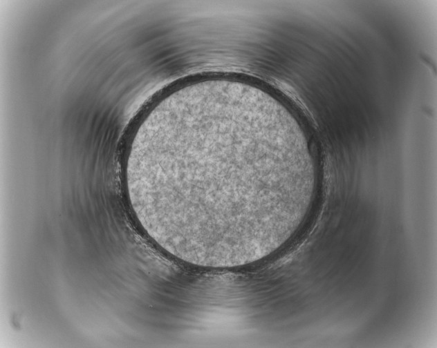 X0000101650926200807311410