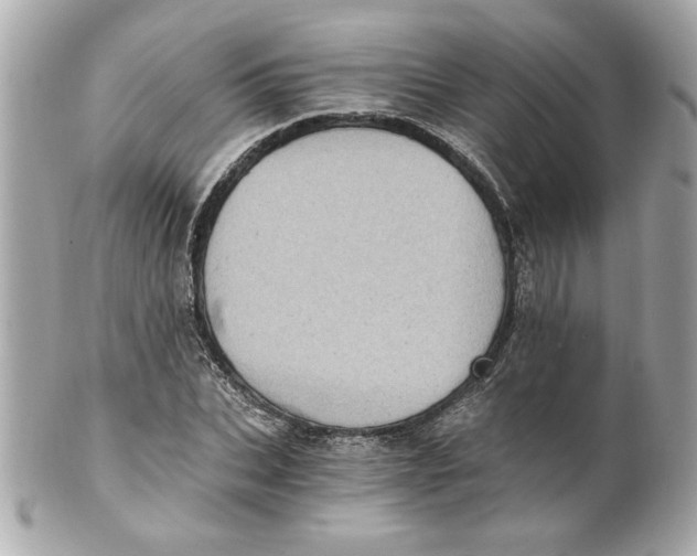 X0000101650927200807311410