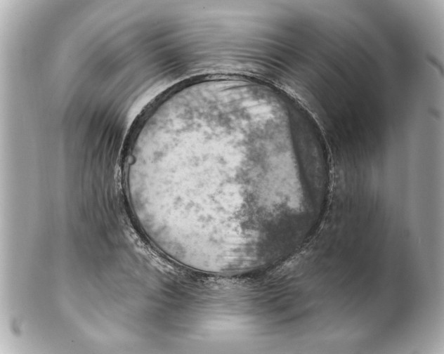 X0000101650928200807311410