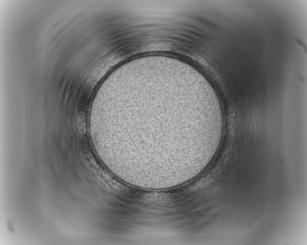 X0000101650929200807311410
