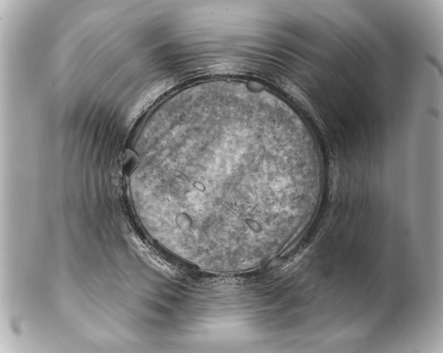 X0000101650930200807311410