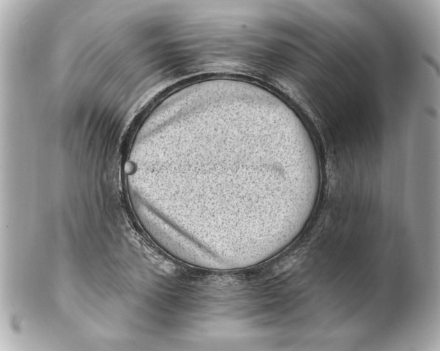 X0000101650931200807311410