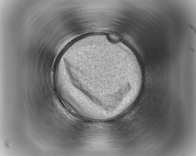 X0000101650932200807311410