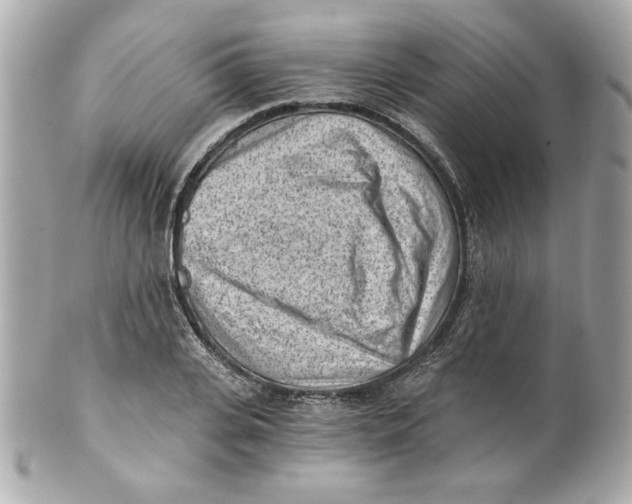X0000101650935200807311410