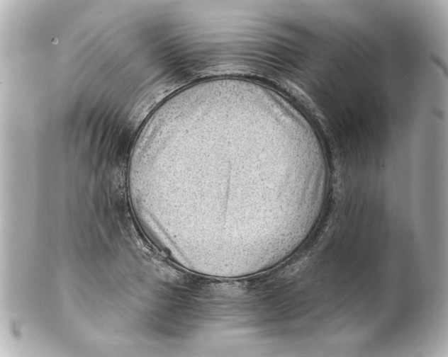 X0000101650937200807311410