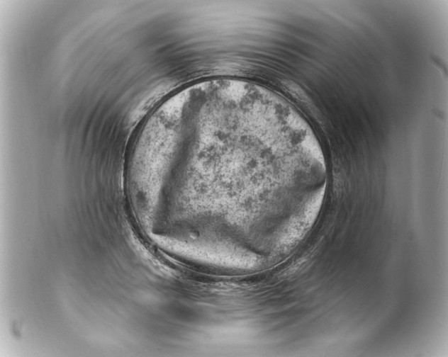 X0000101650938200807311410