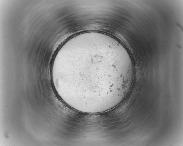 X0000101650939200807311410