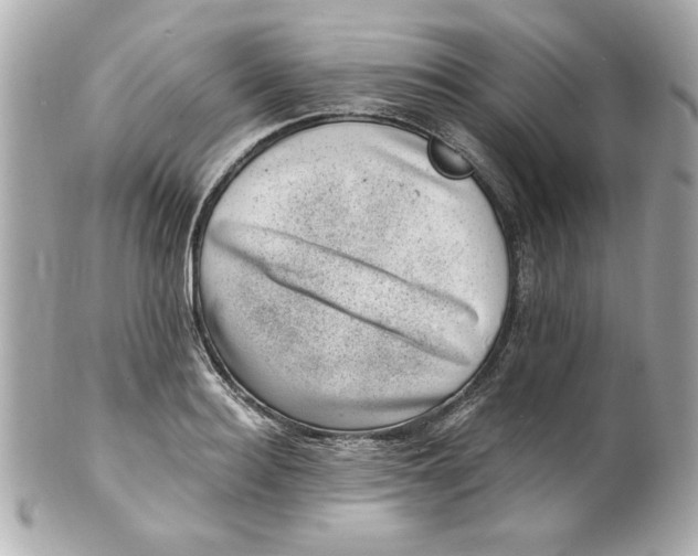 X0000101650940200807311410