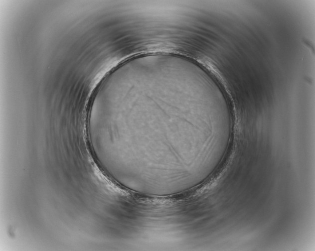X0000101650941200807311410
