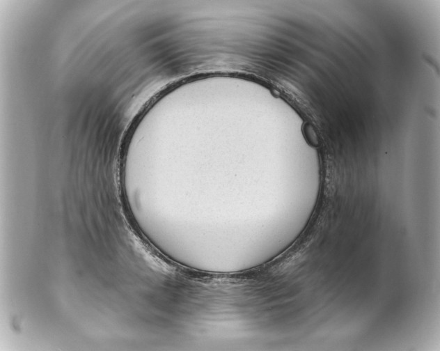 X0000101650942200807311410