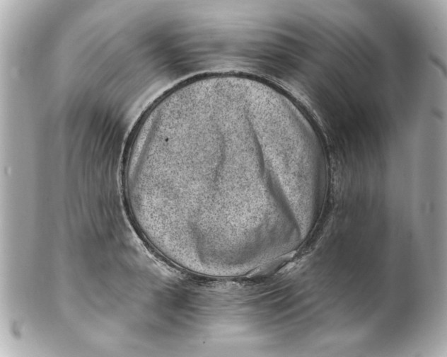 X0000101650943200807311410