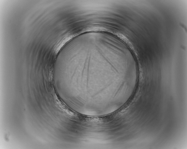 X0000101650945200807311410