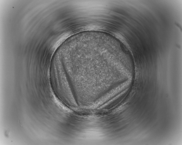 X0000101650946200807311410