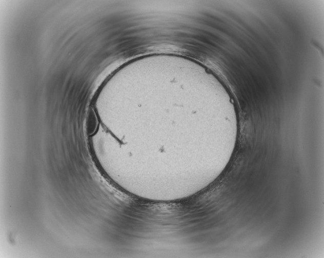 X0000101650947200807311410