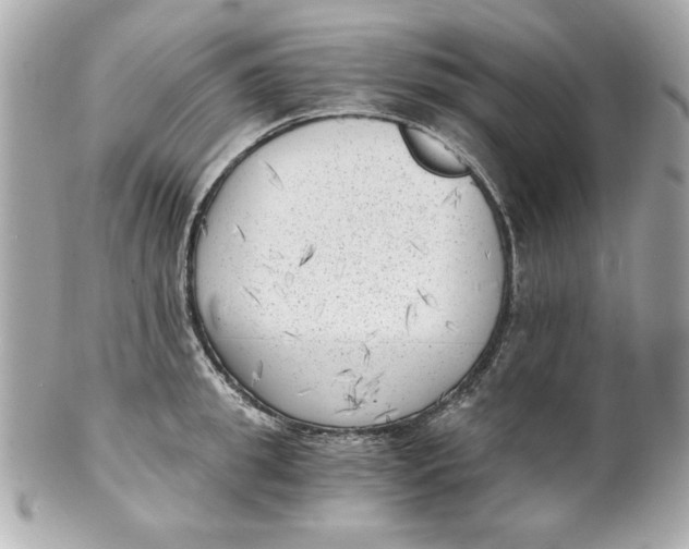 X0000101650949200807311410