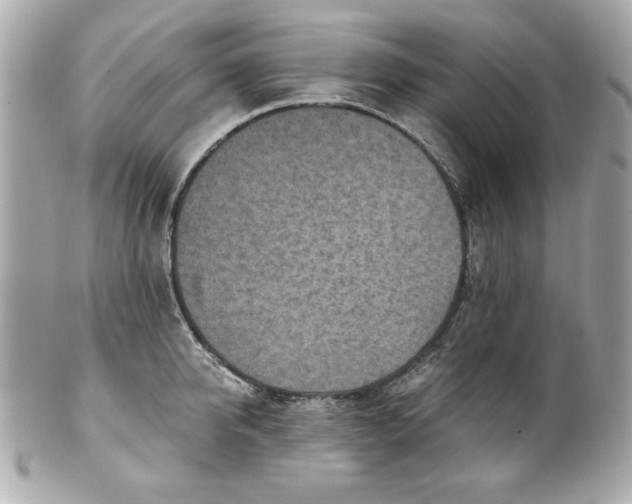 X0000101650950200807311410