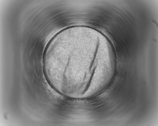 X0000101650951200807311410