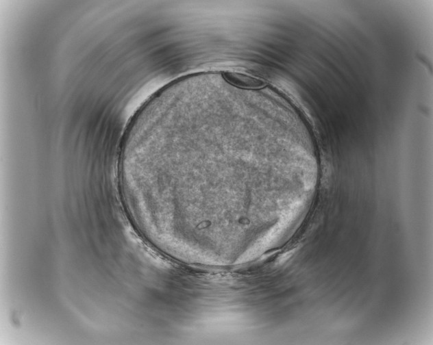 X0000101650952200807311410