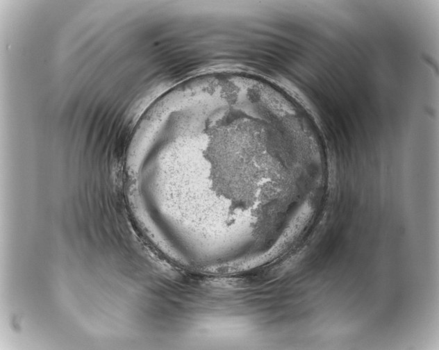 X0000101650953200807311410