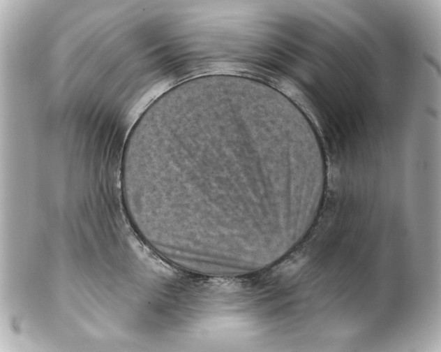 X0000101650954200807311410