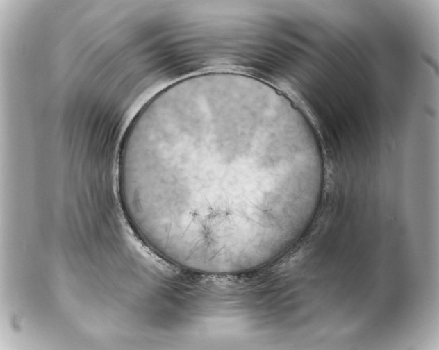 X0000101650955200807311410