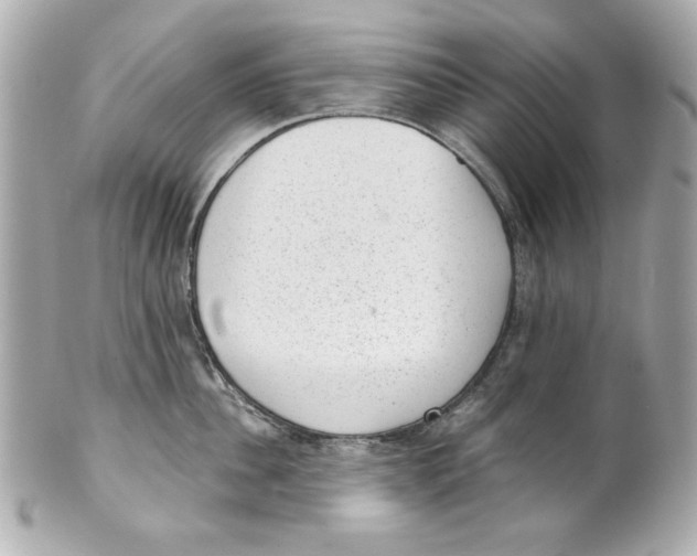 X0000101650956200807311410