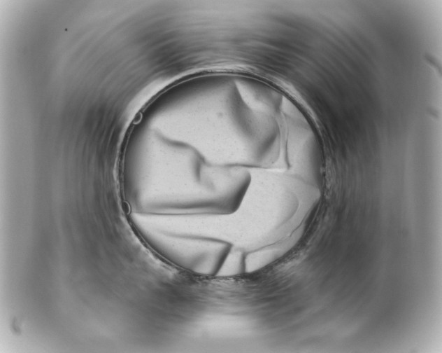 X0000101650959200807311410
