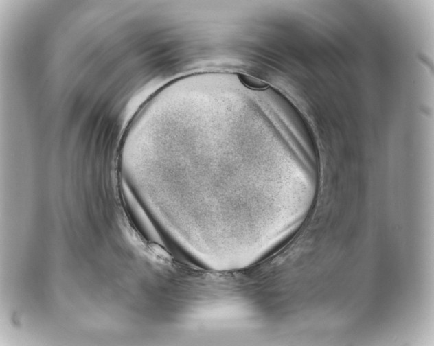 X0000101650960200807311410