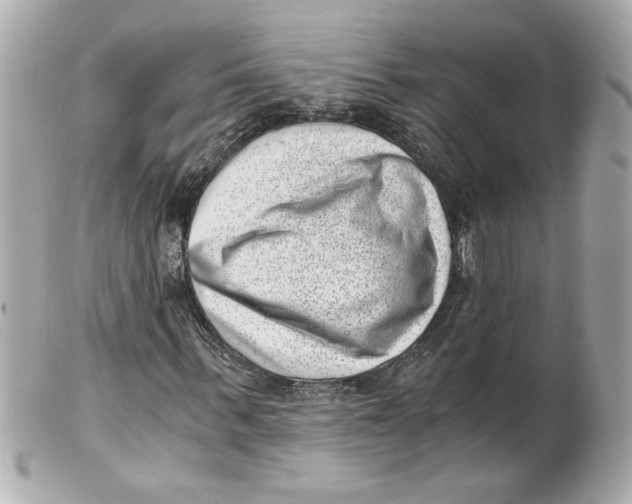 X0000101650963200807311410