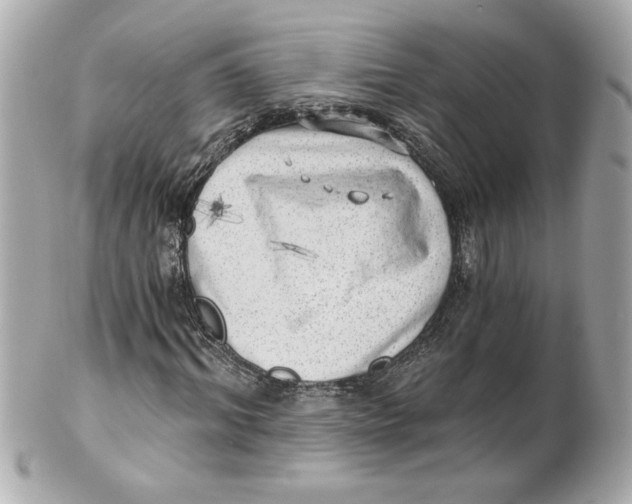 X0000101650964200807311410