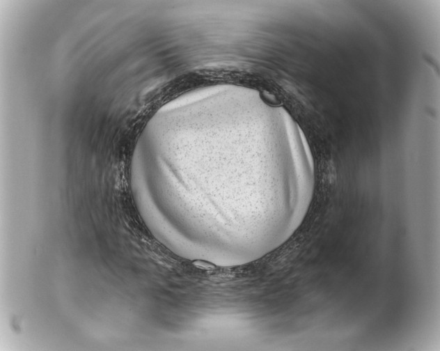 X0000101650965200807311410