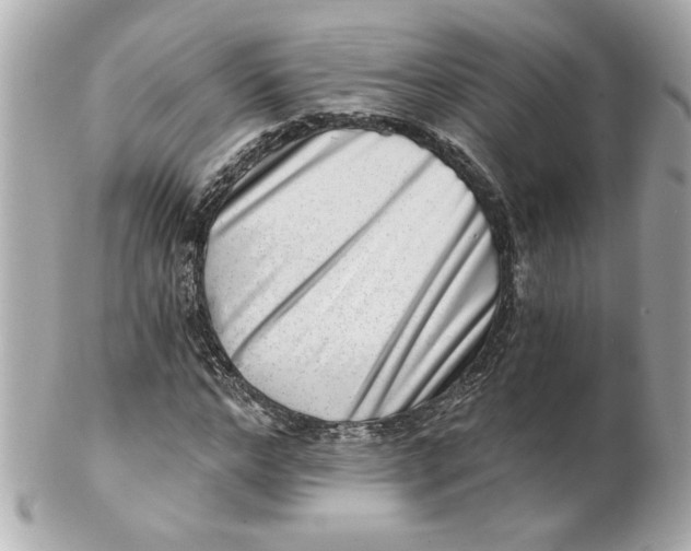 X0000101650968200807311410
