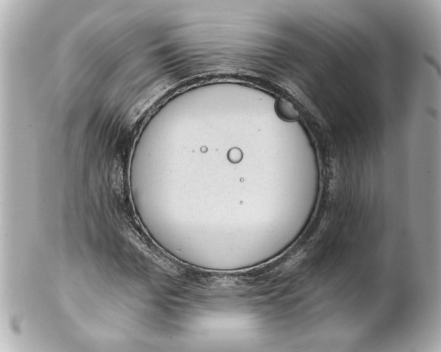 X0000101650969200807311410