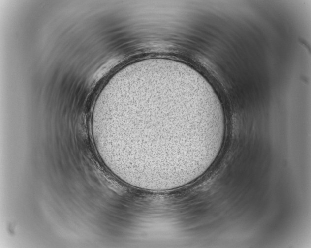 X0000101650970200807311410