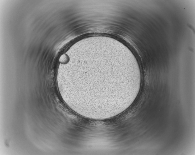 X0000101650971200807311409
