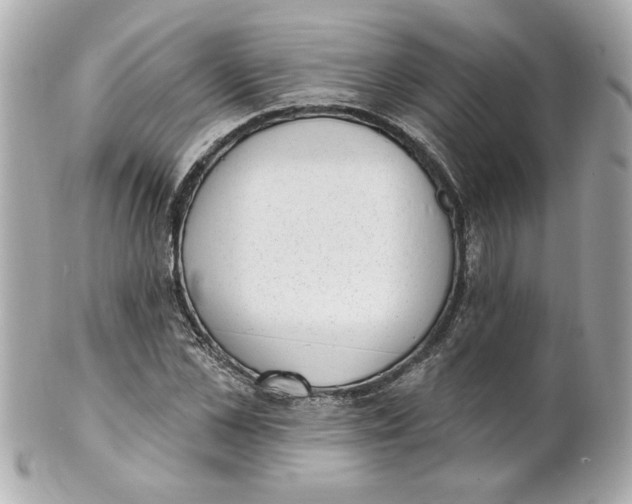 X0000101650973200807311409