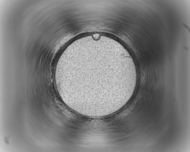 X0000101650974200807311409