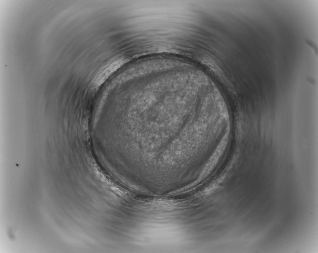 X0000101650977200807311409