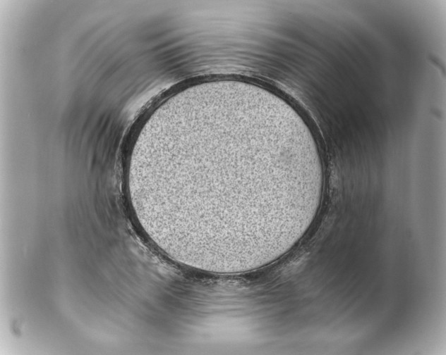 X0000101650979200807311409
