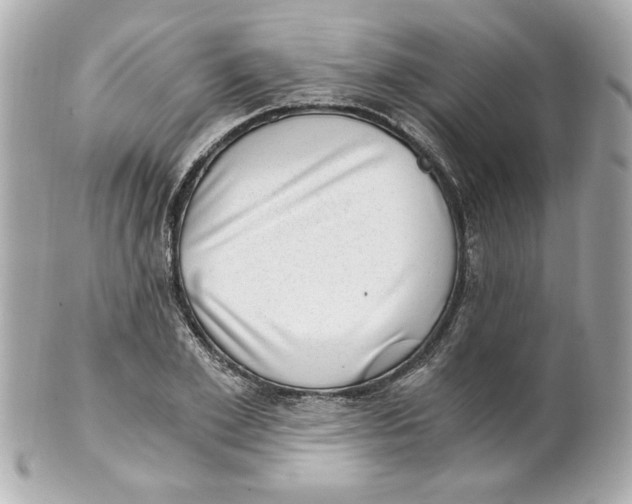 X0000101650981200807311409